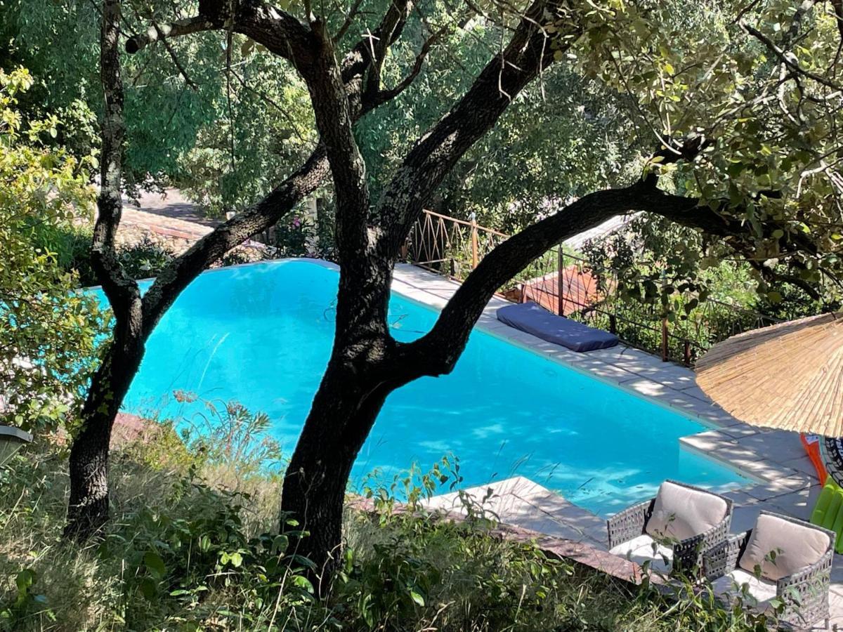 Jolie Annexe Du Mas Dans Le Coeur De La Garrigue Nimoise Villa Nîmes Exterior foto